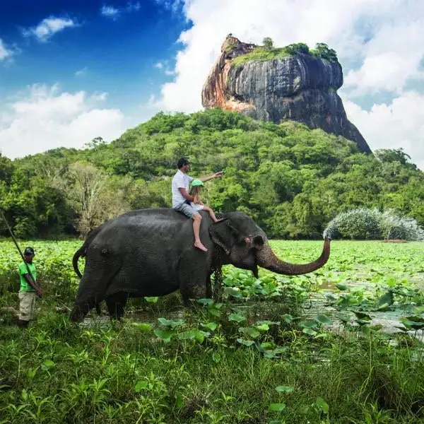 Elephant ride near Sigiriya