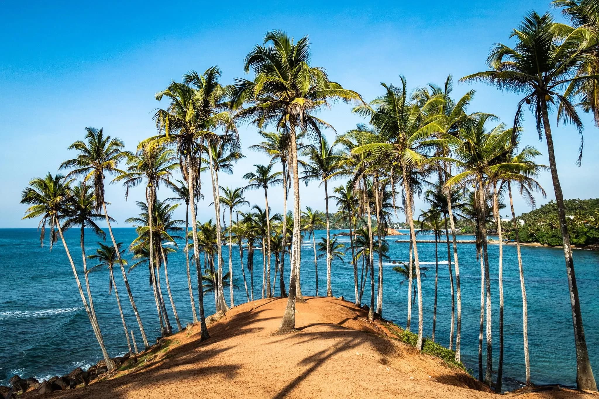 Explore Sri Lanka with Private Driver