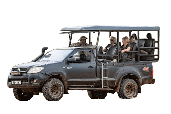 Lankaro private safari jeep for wildlife excursions