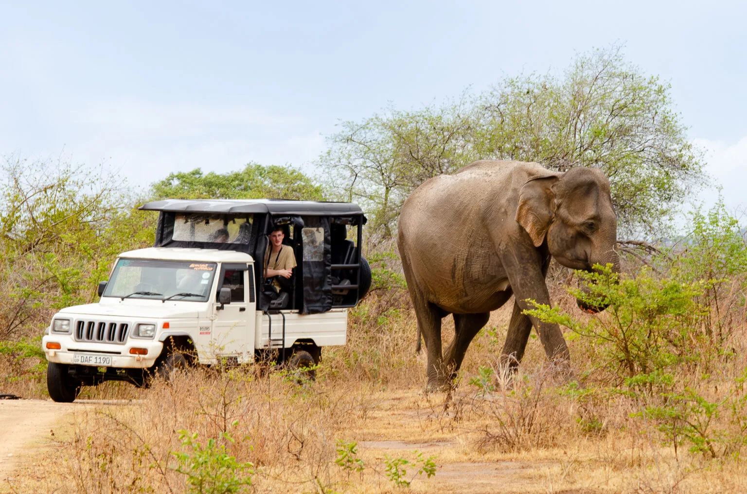 Wildlife Safari in Sri Lanka