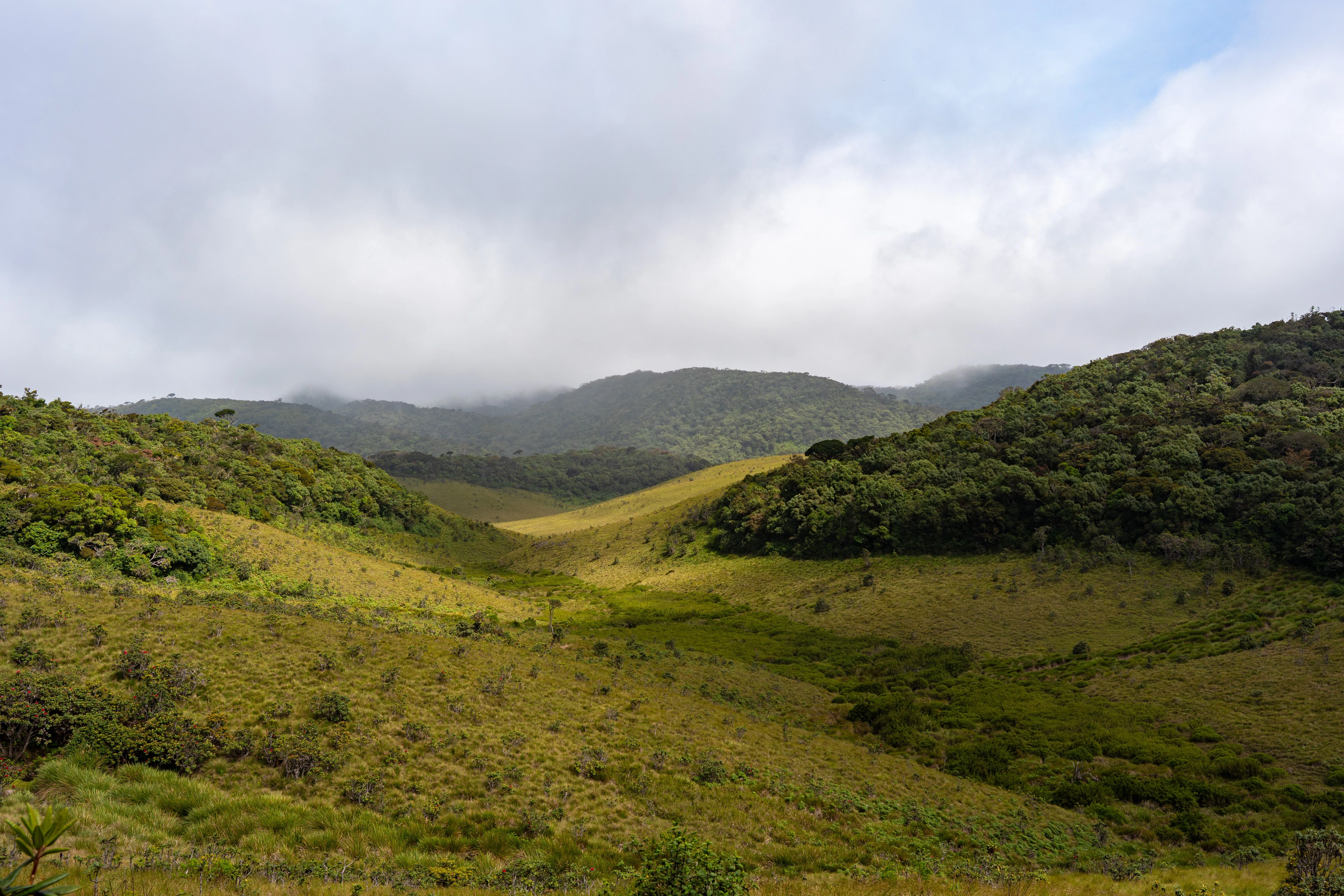 Horton Plains